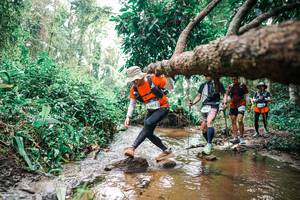 BIB: 
                            <button type="button" onclick="openModal(25375874)" class="btn btn-primary btn-sm float-right btn-popup" data-toggle="modal" data-target=".modal-high-quality">
                        <i class="fas fa-shopping-cart"></i> Add to Cart
                    </button>
                                            <button type="button" onclick="isThisMe(25375874, true)" class="btn btn-success btn-sm float-right btn-popup btn-isme hidden" data-toggle="tooltip" data-placement="bottom" title="นี่คือรูปของคุณใช่ไหม คลิกที่นี่เพื่อเอาเข้าอัลบั้ม">
                        <i class="fas fa-plus"></i> Add to album
                    </button>
                    <button type="button" onclick="isThisMe(25375874, false)" class="btn btn-warning btn-sm float-right btn-popup btn-isnotme hidden">
                        <i class="fas fa-ban"></i> Remove from album
                    </button>